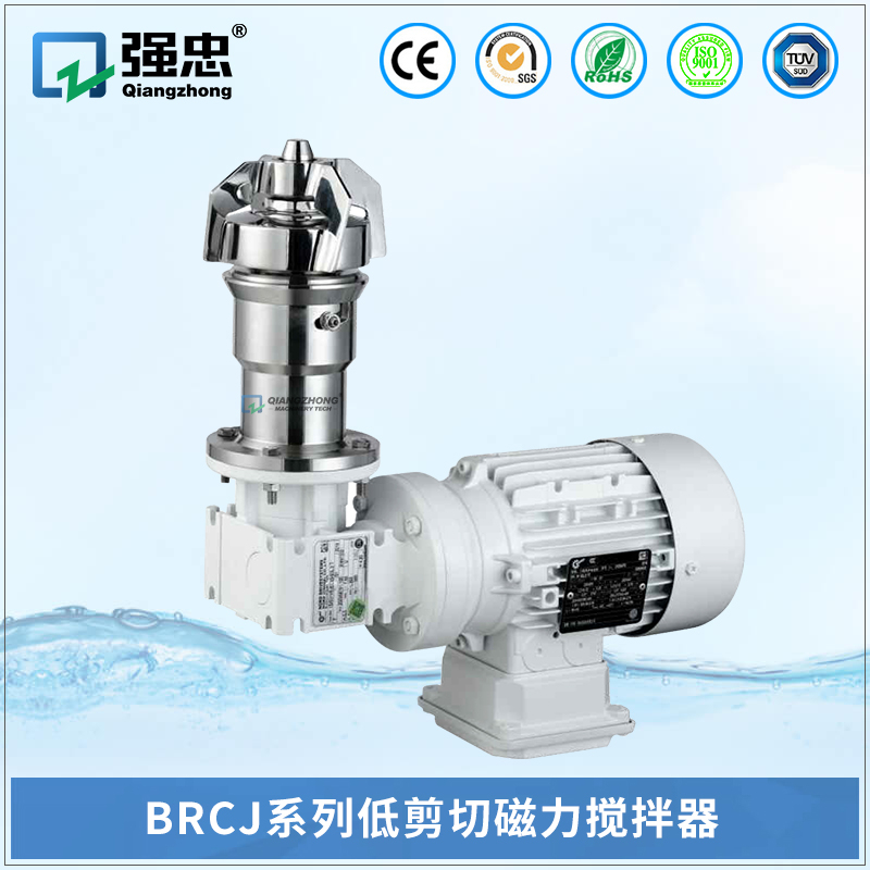 BRCJ必赢平台（中国）有限公司低剪切磁力搅拌器