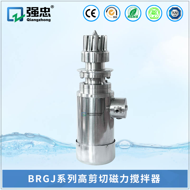 BRGJ必赢平台（中国）有限公司高剪切磁力搅拌器
